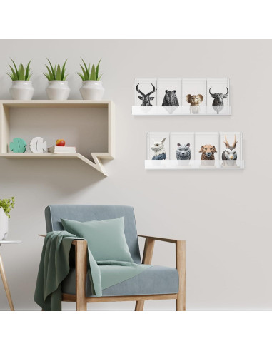 Weysat 50 Protectores Transparentes y 10 Estantes Acrílicos