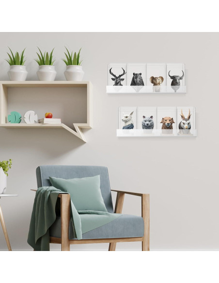 Weysat 50 Protectores Transparentes y 10 Estantes Acrílicos