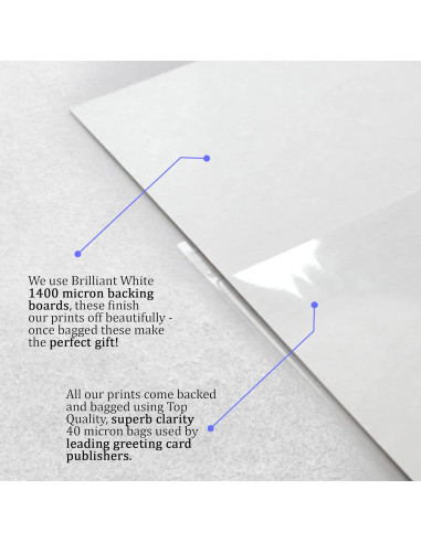 Exhibición Foto Autografiada Chris Pratt Guardianes de la Galaxia