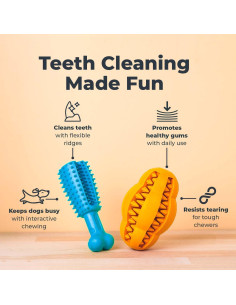 Juguete Dental para Perros Oxyfresh - Goma Natural Pequeño 2