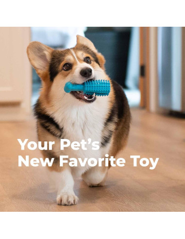 Juguete Dental para Perros Oxyfresh - Goma Natural Pequeño