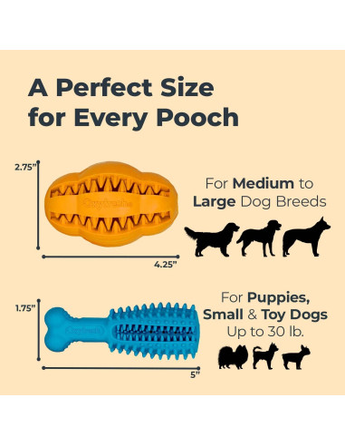 Juguete Dental para Perros Oxyfresh - Goma Natural Pequeño