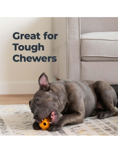 Juguete Dental para Perros Oxyfresh - Goma Natural Pequeño