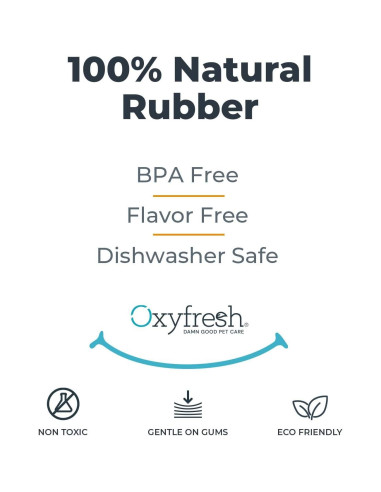 Juguete Dental para Perros Oxyfresh - Goma Natural Pequeño