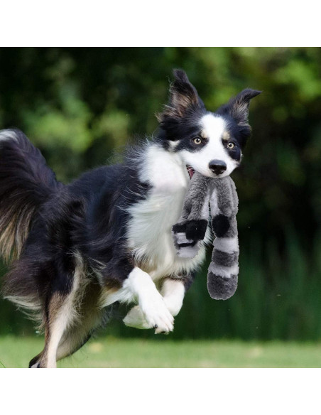 Juego de Juguetes de Perro Chirriantes PDTO - Mapache y Ardilla 40 cm Juego de Juguetes de Perro Chirriantes PDTO - Mapache y Ardilla 40 cm