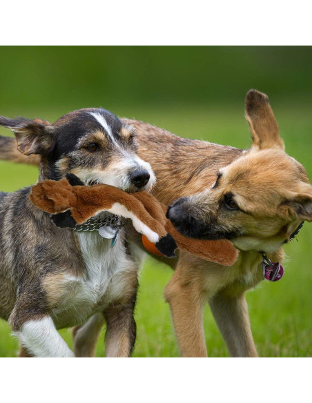 Juego de Juguetes de Perro Chirriantes PDTO - Mapache y Ardilla 40 cm Juego de Juguetes de Perro Chirriantes PDTO - Mapache y Ardilla 40 cm