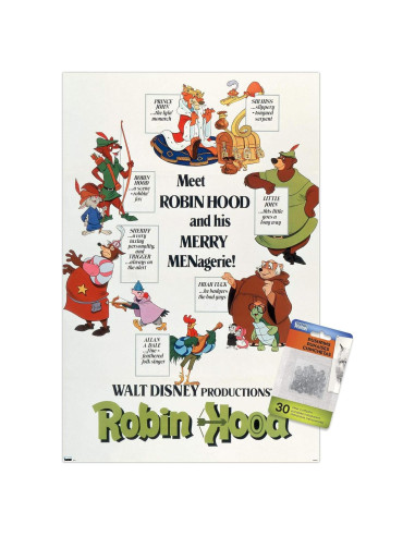 Póster de pared Disney Robin Hood Trends International 37x57cm