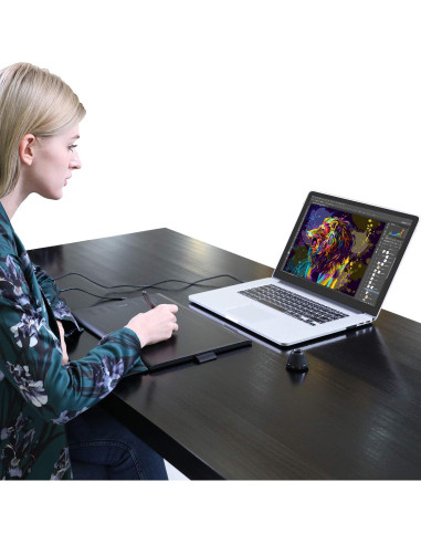 Tableta Gráfica Huion H1060P 25.4x15.88cm 8192 Niveles Presión