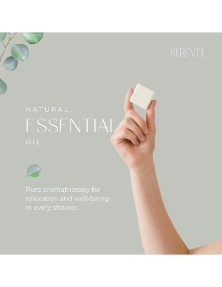 Tabletas de Vapor Aromaterapia Eucalipto Menta - 12 Unidades