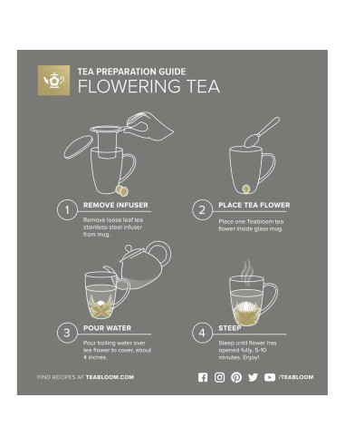 Taza de vidrio borosilicato Teabloom con infusor y tapa 430 mL