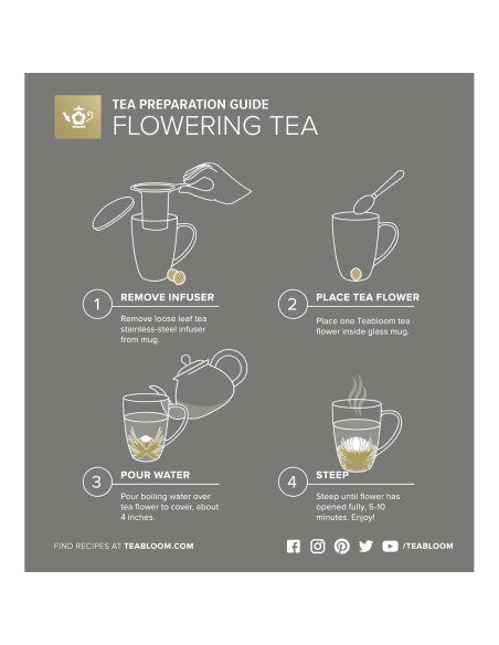 Taza de vidrio borosilicato Teabloom con infusor y tapa 430 mL Taza de vidrio borosilicato Teabloom con infusor y tapa 430 mL