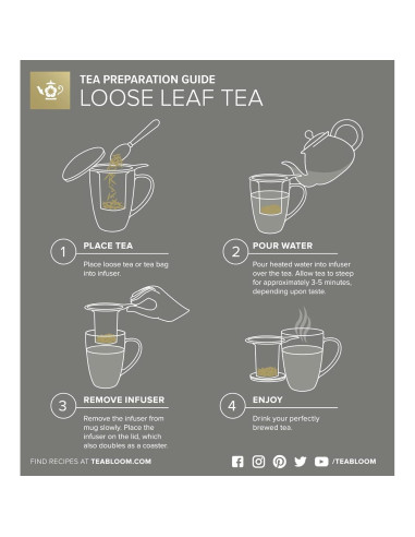 Taza de vidrio borosilicato Teabloom con infusor y tapa 430 mL