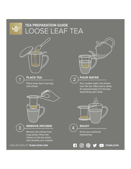 Taza de vidrio borosilicato Teabloom con infusor y tapa 430 mL Taza de vidrio borosilicato Teabloom con infusor y tapa 430 mL