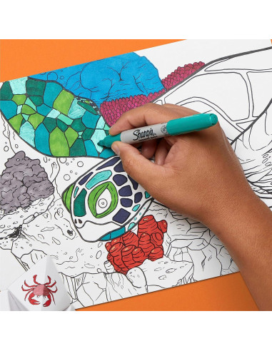 Juego de 12 Marcadores Permanentes Sharpie Punta Fina Colores Variados