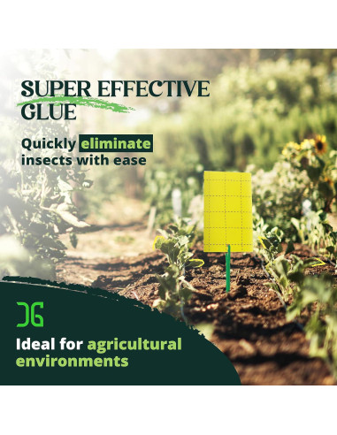 Trampas Adhesivas Doble Cara Catchmaster 36 Unidades Amarillas