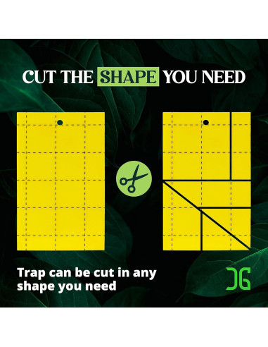 Trampas Adhesivas Doble Cara Catchmaster 36 Unidades Amarillas