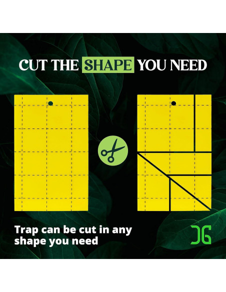 Trampas Adhesivas Doble Cara Catchmaster 36 Unidades Amarillas