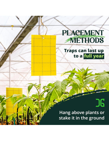 Trampas Adhesivas Doble Cara Catchmaster 36 Unidades Amarillas