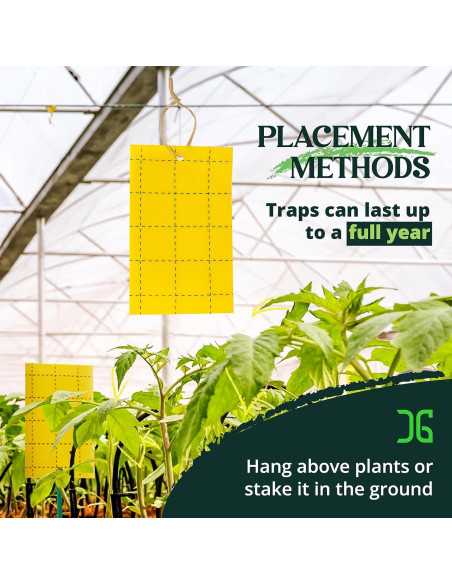 Trampas Adhesivas Doble Cara Catchmaster 36 Unidades Amarillas