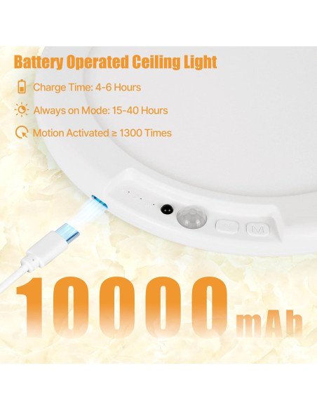 Luz de Techo LED Recargable Rodalims RL0029A1 con Control Remoto