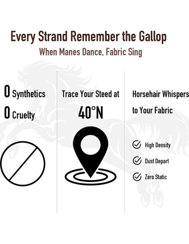 Kit de Cepillos para Zapatos Euvia - 3 Piezas de Cuero y Ante