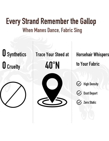 Kit de Cepillos para Zapatos Euvia - 3 Piezas de Cuero y Ante