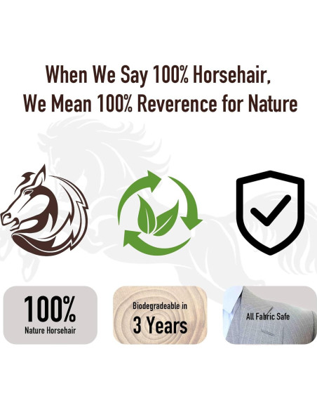 Kit de Cepillos para Zapatos Euvia - 3 Piezas de Cuero y Ante