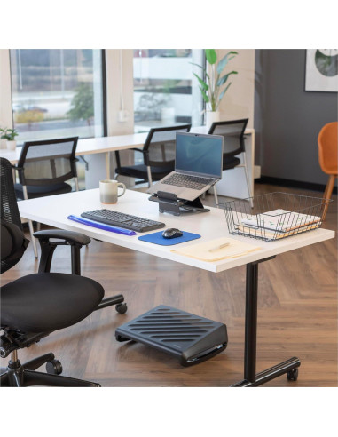 Alfombrilla de Ratón Mediana Fellowes 58021 Azul 20.3x24.1cm