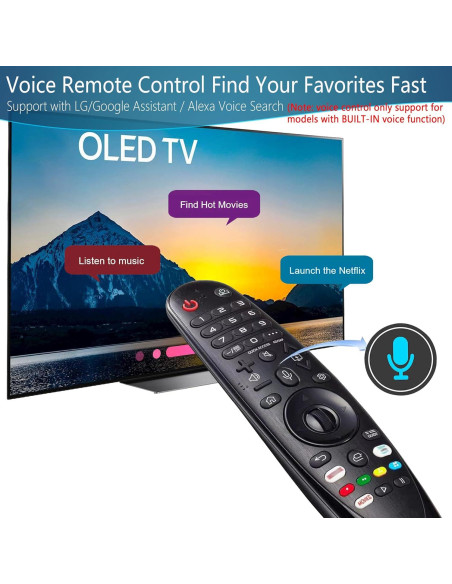 Control Remoto de Voz LG MR20GA AKB75855501 - Universal