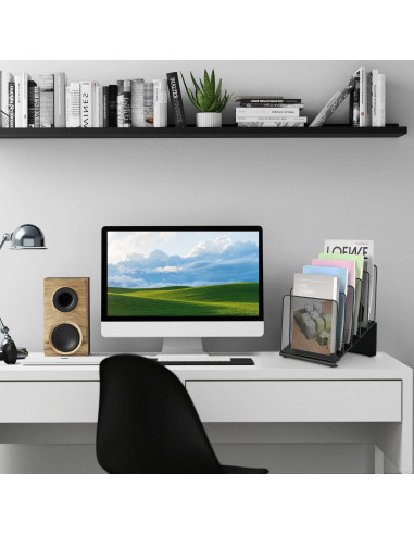 Organizador de Archivos LEKETREE de Metal Negro 5 Secciones