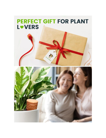 4 Ollas de Riego Automático de Terracota 400ml Gardenbro