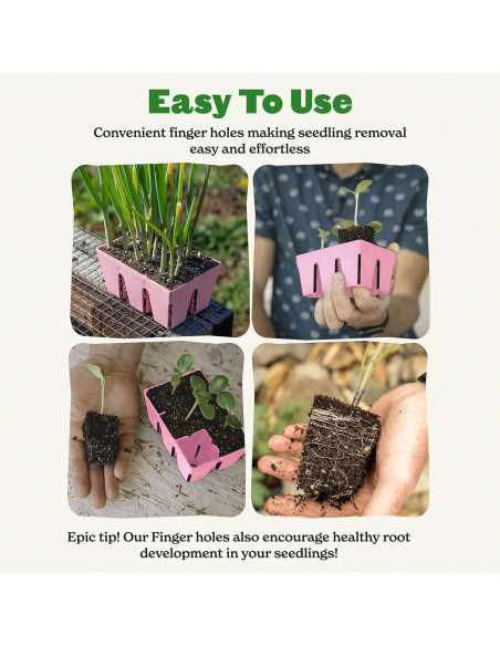 Bandeja de Inicio de Semillas Epic Gardening - 6 Celdas Rosa