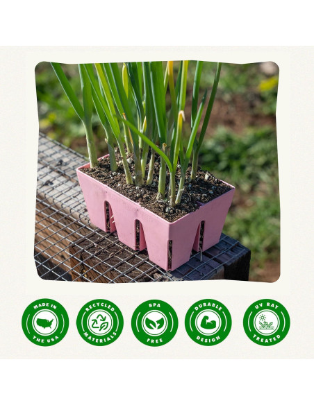 Bandeja de Inicio de Semillas Epic Gardening - 6 Celdas Rosa
