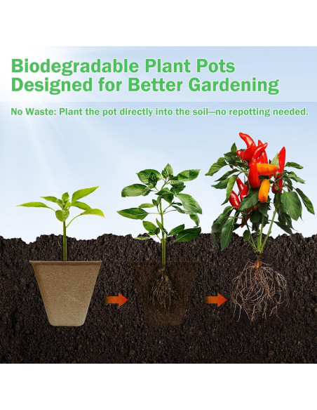 70 Macetas Biodegradables Cuadradas 8 cm Doubleggs para Jardín