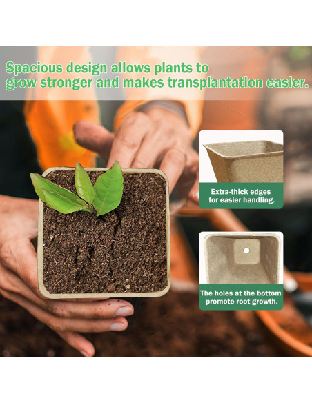 70 Macetas Biodegradables Cuadradas 8 cm Doubleggs para Jardín