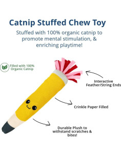 Juguete para Gato ToyGenics Lápiz con Hierba Gatera Orgánica 2