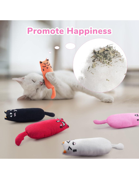 Juguetes para Gatos Legendog 5 Pcs con Hierba Gatera