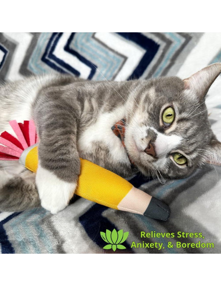 Juguete para Gato ToyGenics Lápiz con Hierba Gatera Orgánica