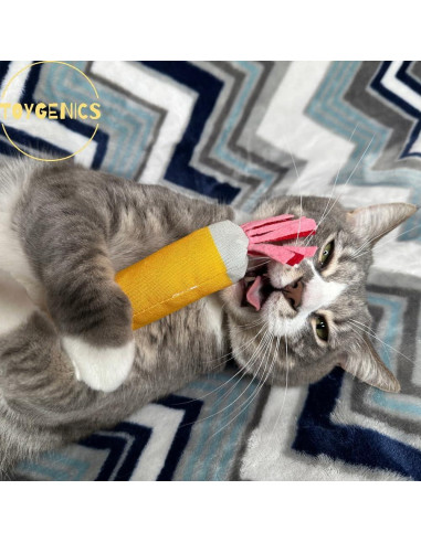 Juguete para Gato ToyGenics Lápiz con Hierba Gatera Orgánica