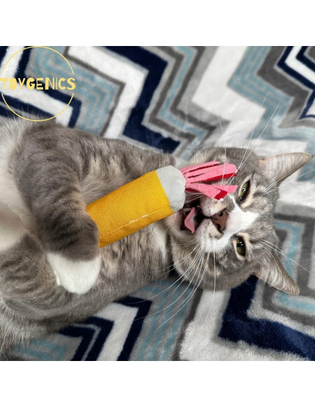 Juguete para Gato ToyGenics Lápiz con Hierba Gatera Orgánica