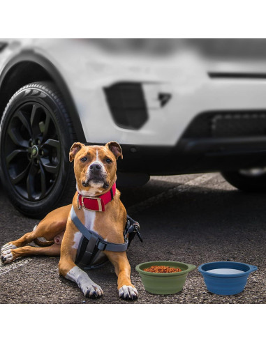 Cuencos Plegables para Perros SLSON 600ml Azul y Verde