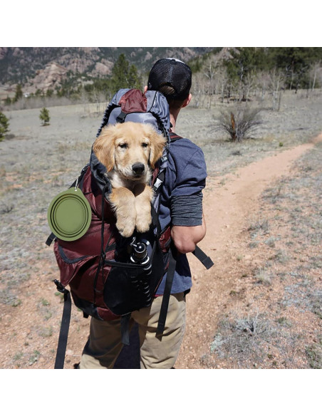 Cuencos Plegables para Perros SLSON 600ml Azul y Verde