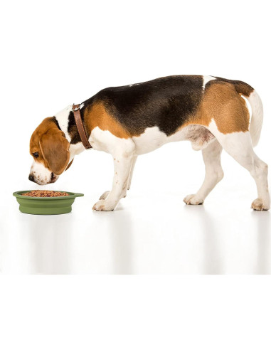 Cuencos Plegables para Perros SLSON 600ml Azul y Verde