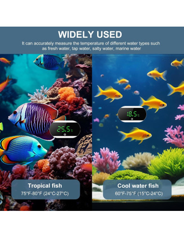 Termómetro Digital para Acuario Ankilo Blanco - Alta Precisión +/-1C