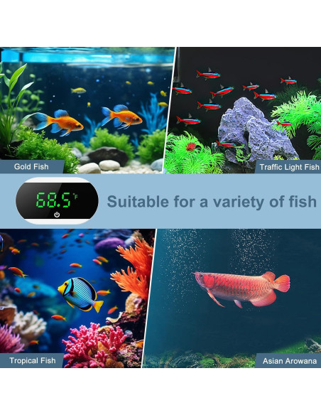 Termómetro Digital para Acuario Ankilo Blanco - Alta Precisión +/-1C