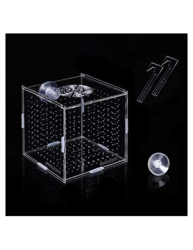 Caja de cría de peces acrílica AWXZOM 9.9x9.9x9.9 cm