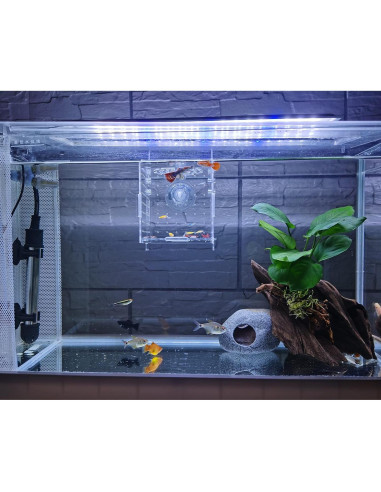 Caja de cría de peces acrílica AWXZOM 9.9x9.9x9.9 cm