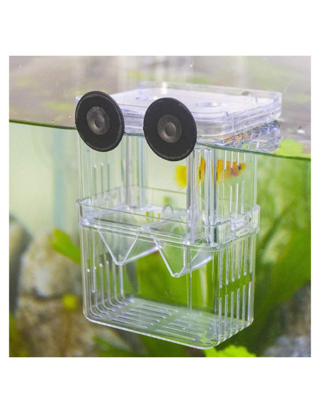 Caja de Cría de Peces Senzeal Mediana con Ventosas y Pipetas