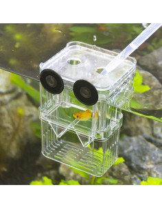 Caja de Cría de Peces Senzeal Mediana con Ventosas y Pipetas 2