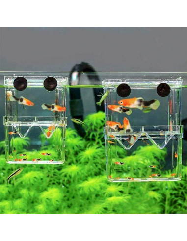Caja de Cría de Peces Senzeal Mediana con Ventosas y Pipetas